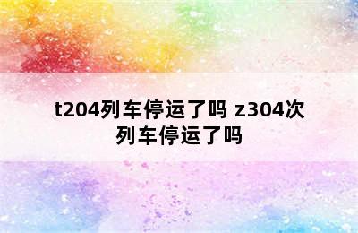 t204列车停运了吗 z304次列车停运了吗